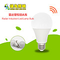 A-type Plastic clad aluminium Rader Induction LED Lamp Bulb