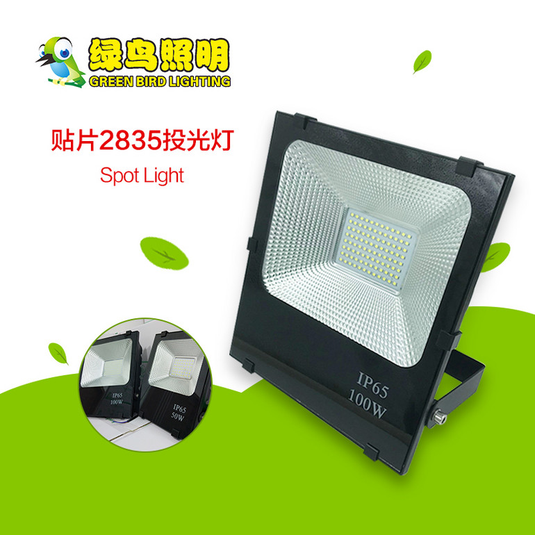 IP65 50-100W LED SMD 2835 Floodlight