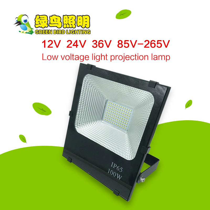 IP65 Low Voltage 100W Black Floodlight