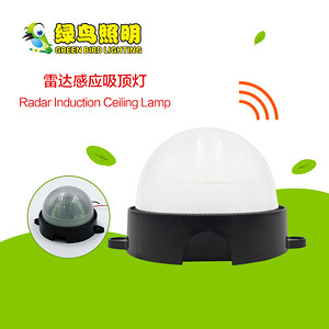 Semi-spherical black bottom translucent lampshade radar induction ceiling lamp