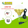 Low-voltage hanging luxury gold LED bulb lamp