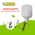 Hanging Low Voltage High Guard Smooth PP LED Bulb Lamp