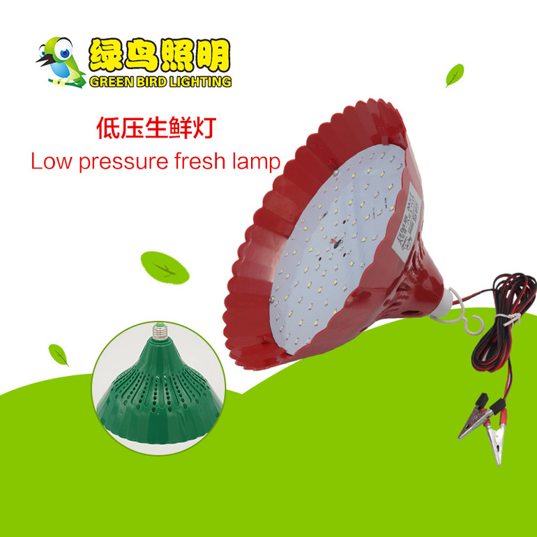Red/Green Low Voltage LED Fresh Lamp