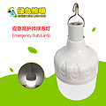 Peacock hanging emergency high guard LED bulb lamp