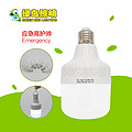 Peacock Multi-Watt Emergency High Guard LED Bulb Lamp