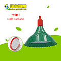 Green Lampshade Ultra-bright LED Fresh Lamp