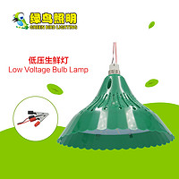 Green Lampshade Ultra-bright Low Voltage LED Fresh Lamp