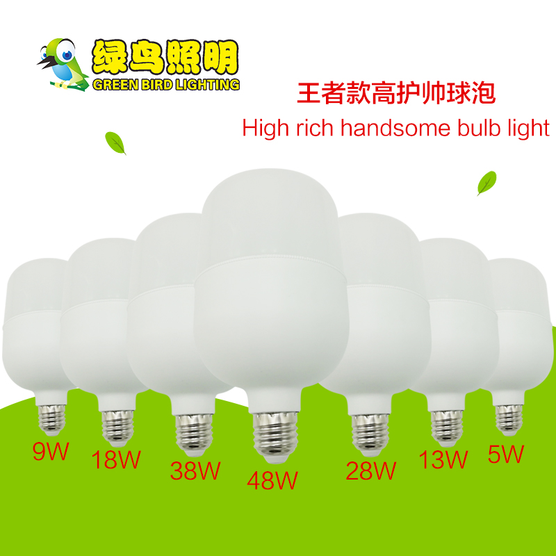 King's High Rich Handsome Multi-Watt  LED Bulb Lamp