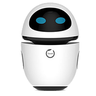 Intelligent Emotional Robot