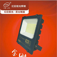 Multi-Wattage Diamond Floodlight