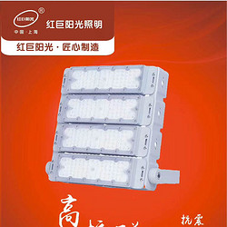 Multi-wattage anti-seismic anti-falling anti-rolling floodlight