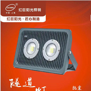 Multi-wattage double-headed tunnel light