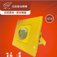 Anti-seismic, anti-falling, anti-rolling multi-Wattage tunnel floodlight