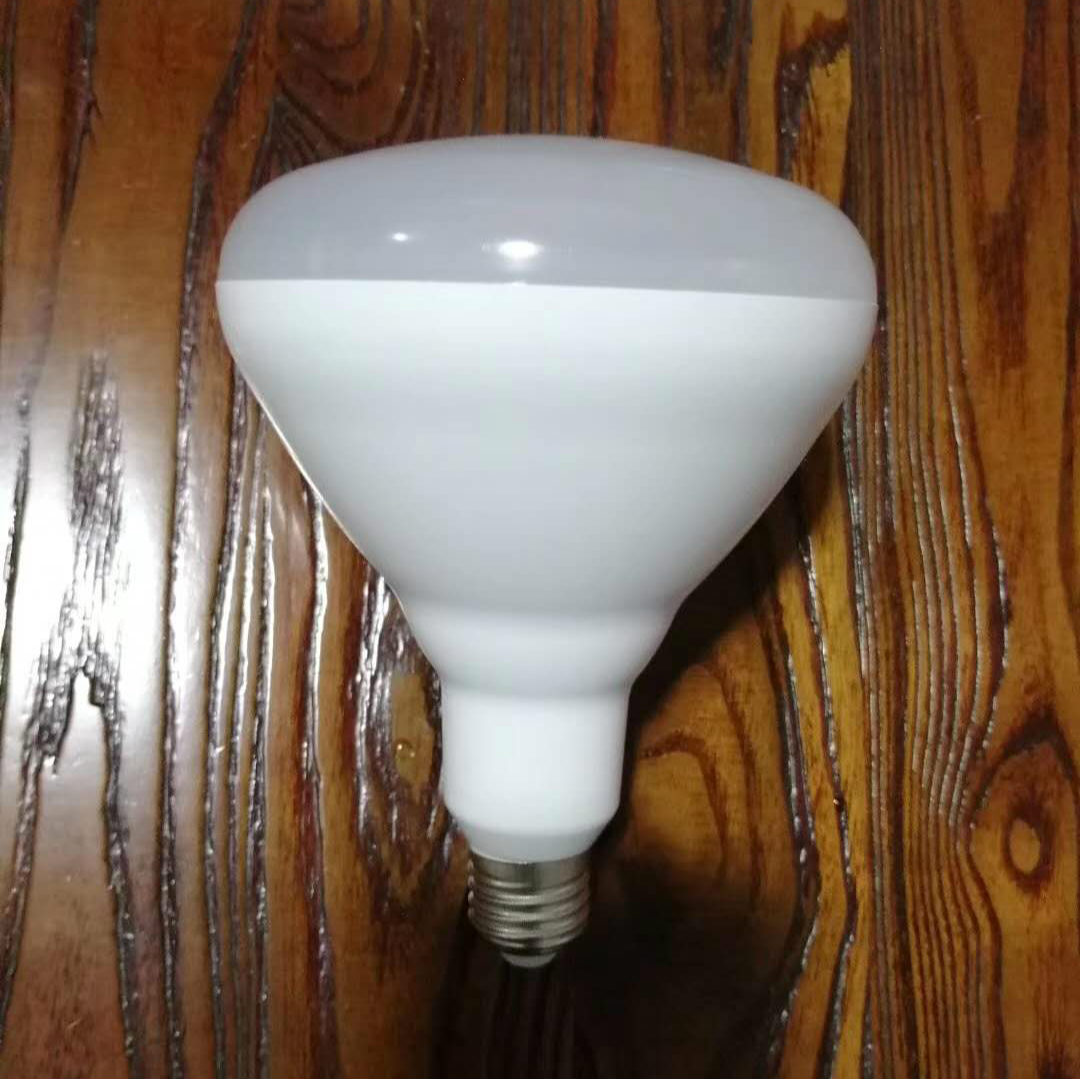 R-type LED bulb BR30