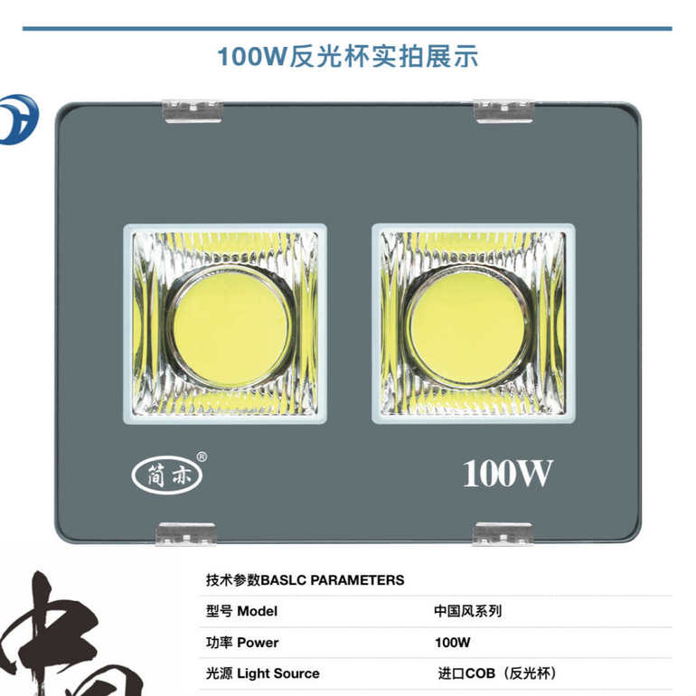 100W Reflector Cup Floodlight