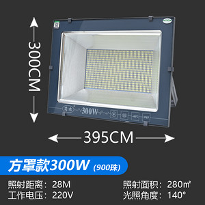 Square Shade 300W Floodlight