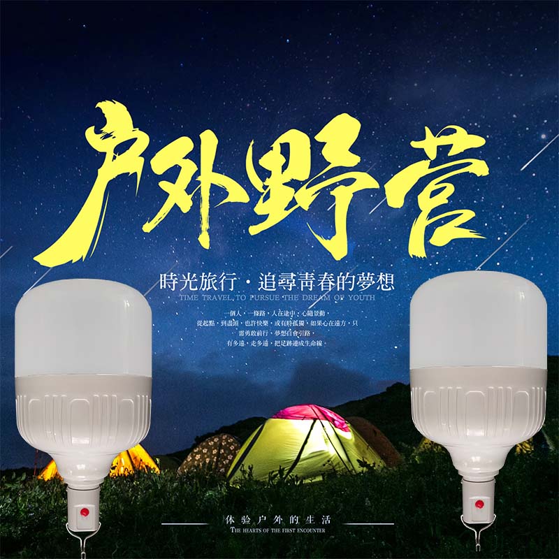 Hanging portable battery LED bulb