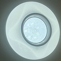 Frosted glass shade ceiling lamp