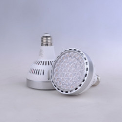 Silver ring white aluminium shell energy-saving PAR lamp