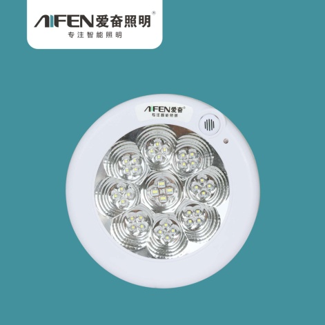 LED Intelligent Sensor Ceiling Lamp