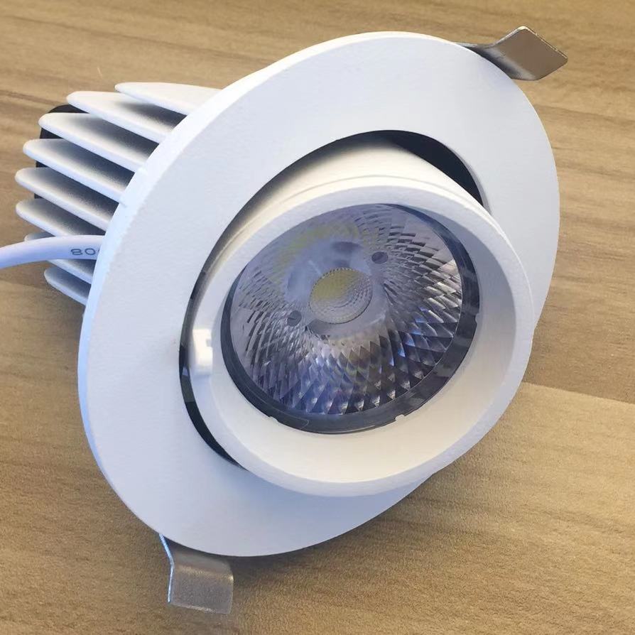 Individual, white, adjustable beam down lamp