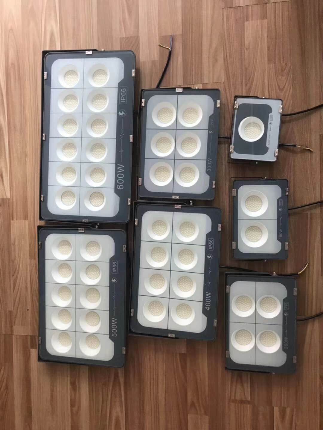 IP66 Multi-Wattage Project Floodlight