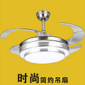 Fashion simple, mute, dimmer, energy saving, environmental protection ceiling fan lamp