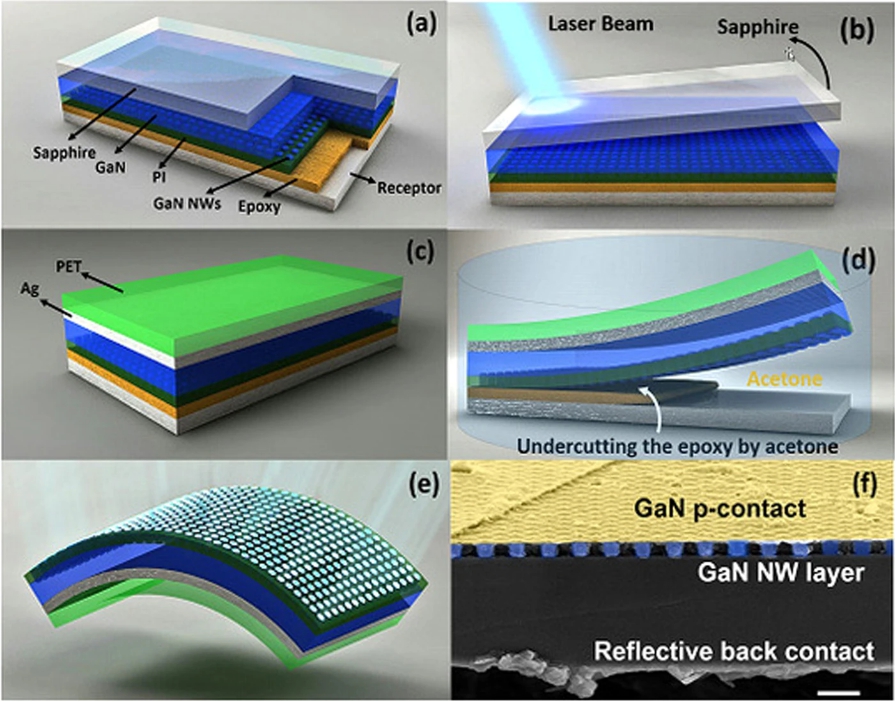 New Approach of InGaN Nanowire LEDs on Flexible Substrate
