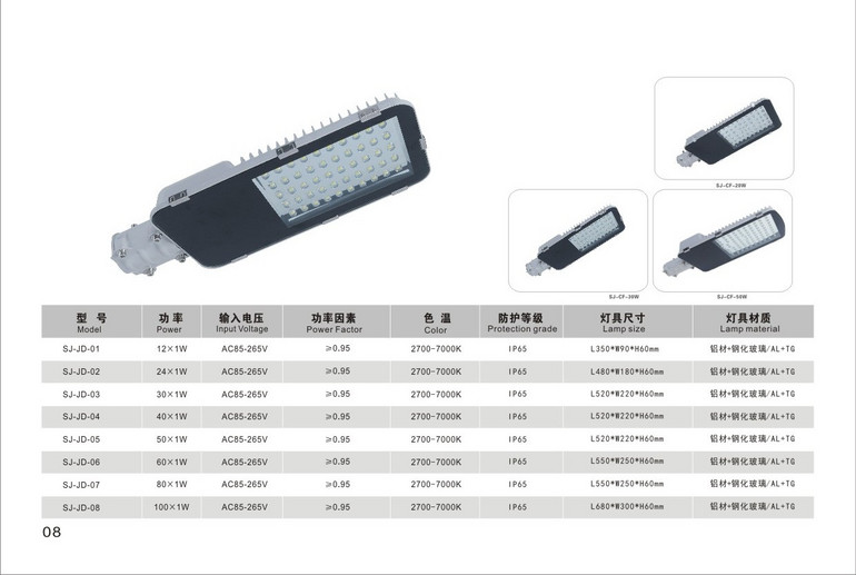 Toothbrush series multi-Wattage LED street lamp