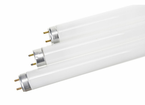 Tips on How to Choose Fluorescent Tubes
