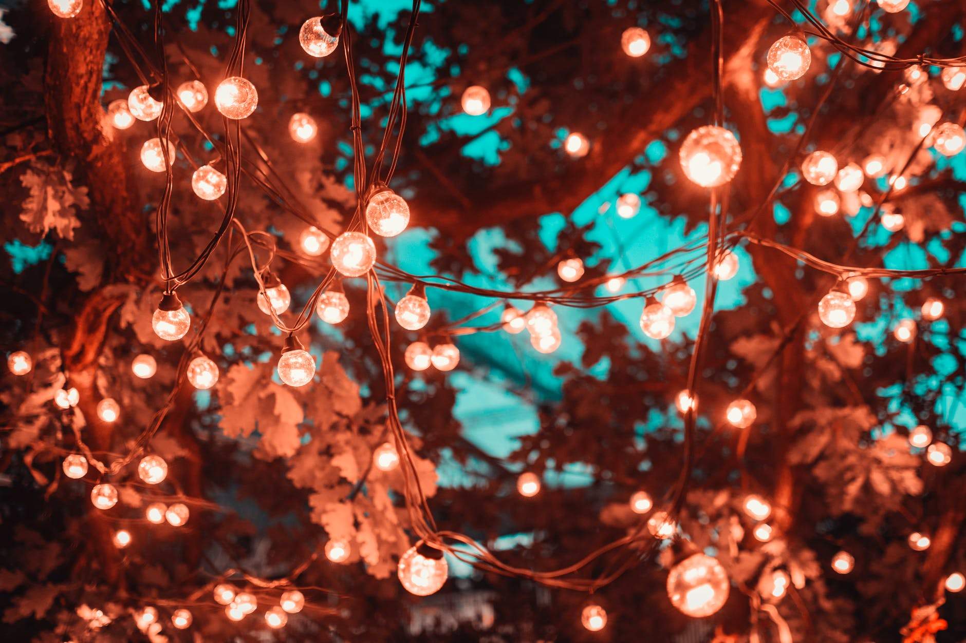 Decorate Your Backyard Using LED Lighting