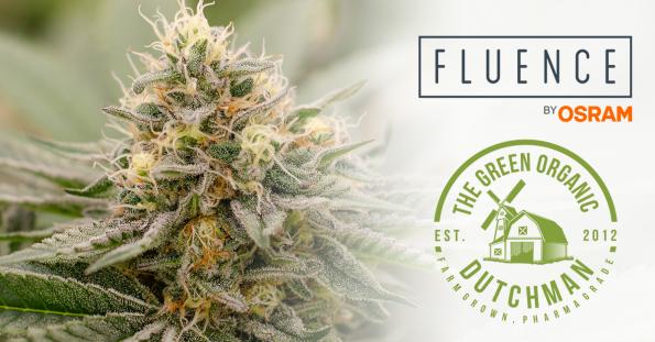 Fluence partners TGOD