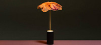 A team turns cabbage leaves into paper-like lampshades