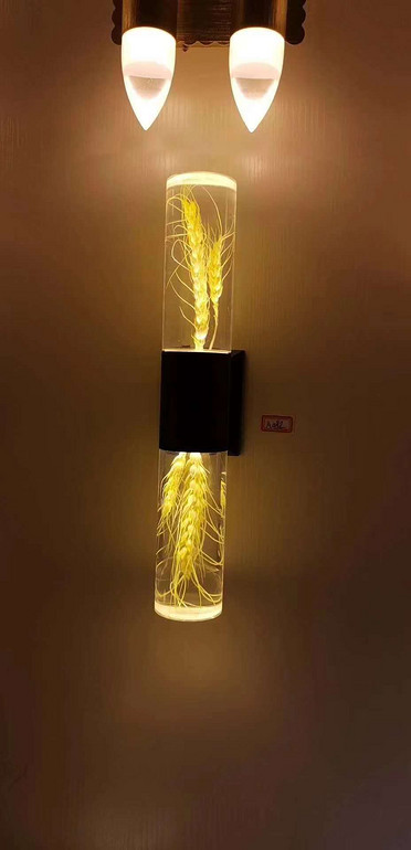 Cylinder arcylic wall lamp