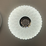 Remoter Bluetooth Celling Light