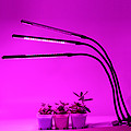 led plant light