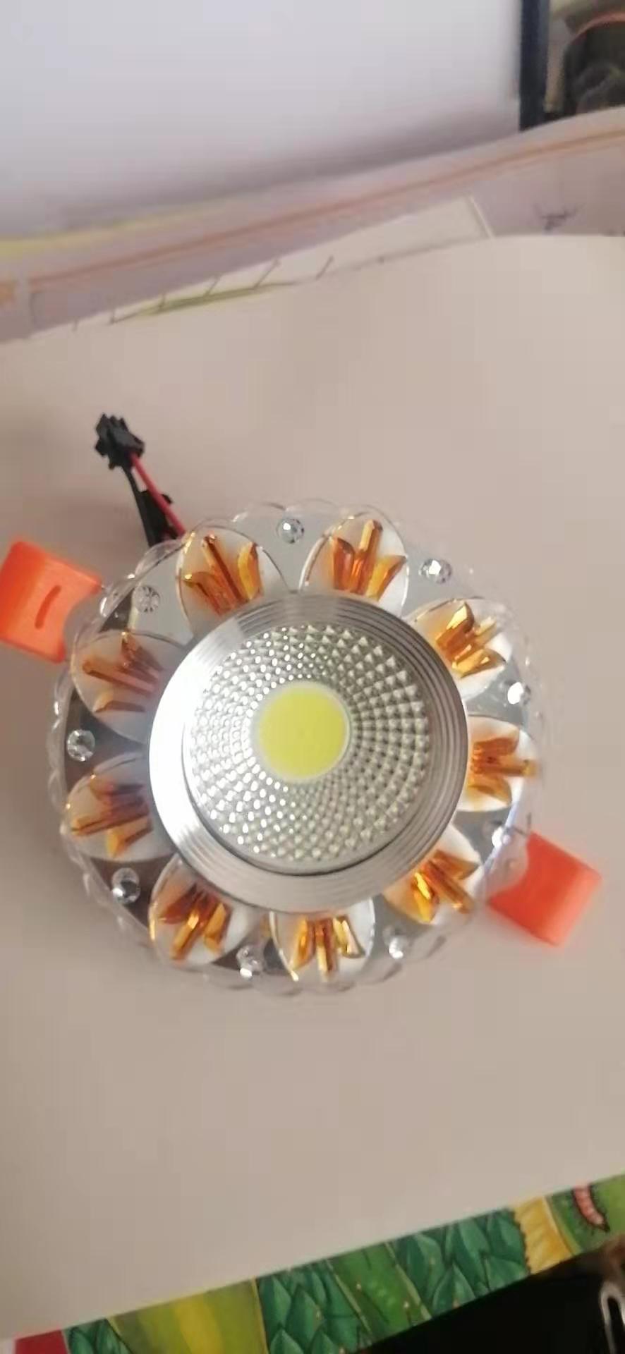 LED Down Light