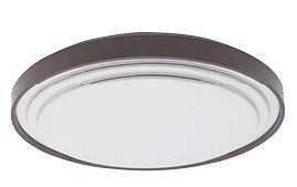 Wenova Ceiling Light