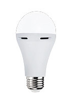 Emergency bulb