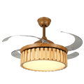 modern household fan lamp