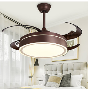 modern household fan lamp .