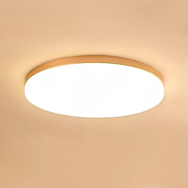 Nordic ceiling lamp