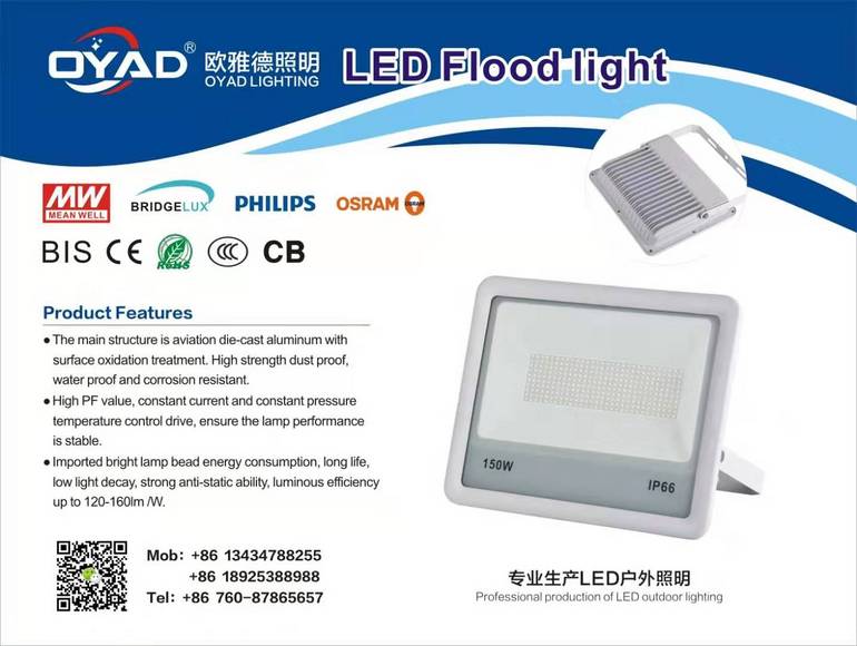 LED flood light