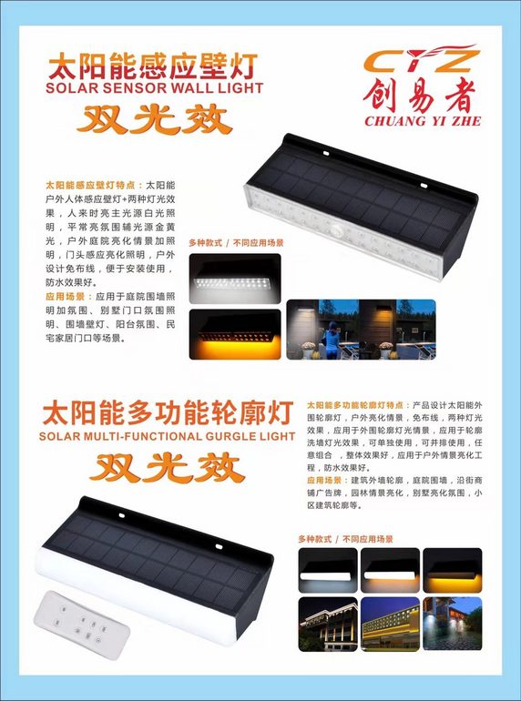 Solar Light/Outdoor/wall light