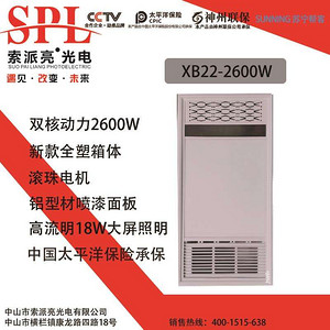 suopailiang Bathroom Heat Lamp