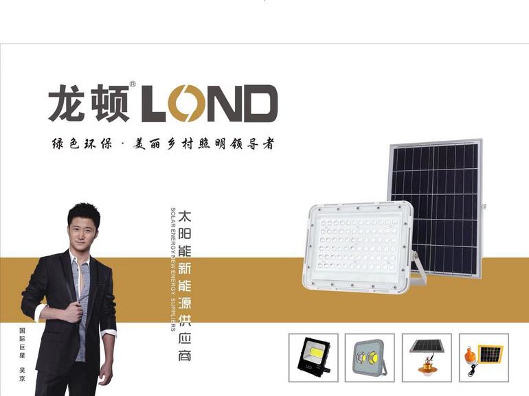 LongDun solar outdoor LED garden lights