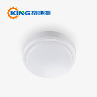 Kongneng Ceiling Light