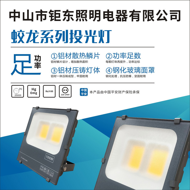 Judong Jiaolong series floodlight