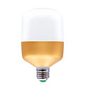 LED color bulb