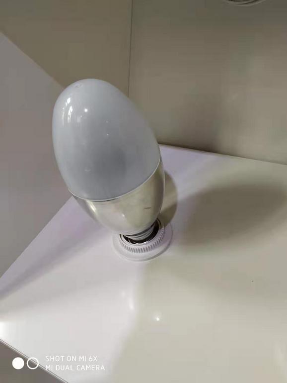 Body induction bulb